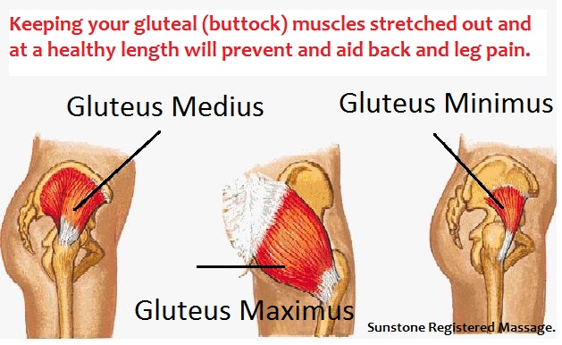 Muscles stretched out and at a healthy length.