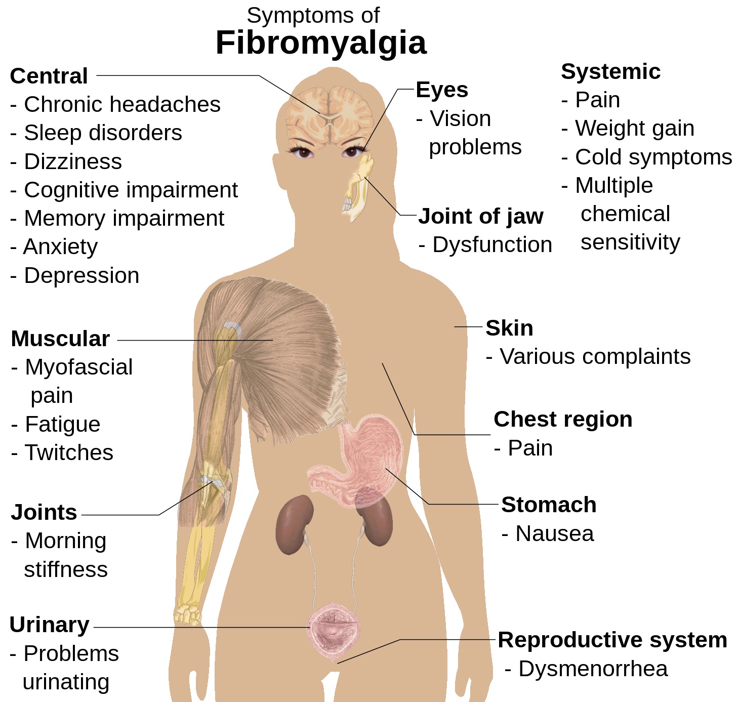 Manage Your Pain Of Fibromyalgia With Massage Therapy