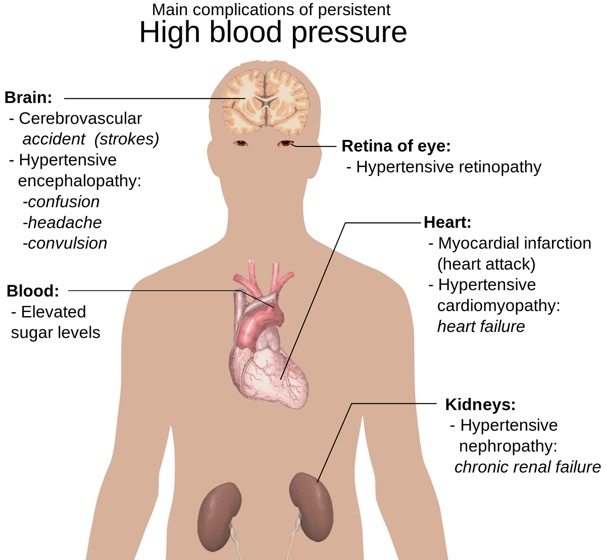 Lowering Your Blood Pressure With Massage Therapy