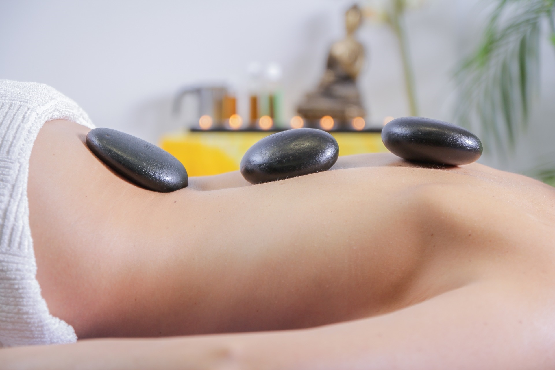 Massage Therapy, The Largest Organ Of The Body, Vaughan Ontario, RMT, Sunstone Registered Massage